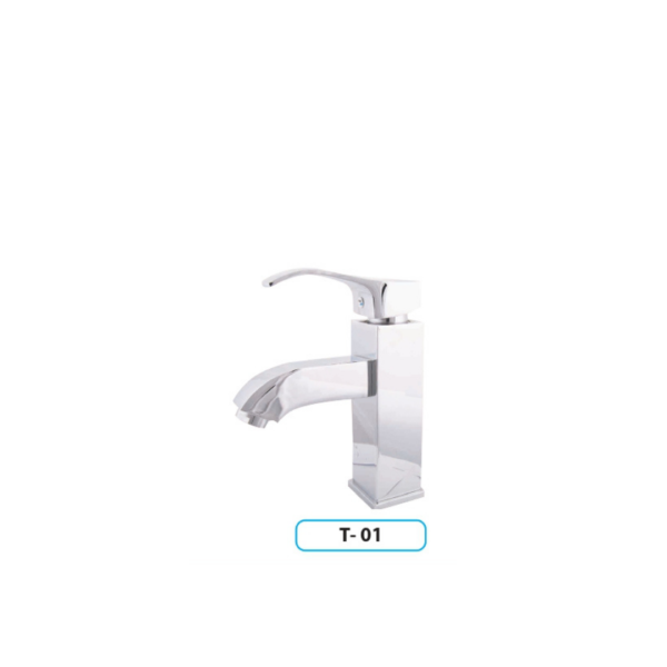 T-01